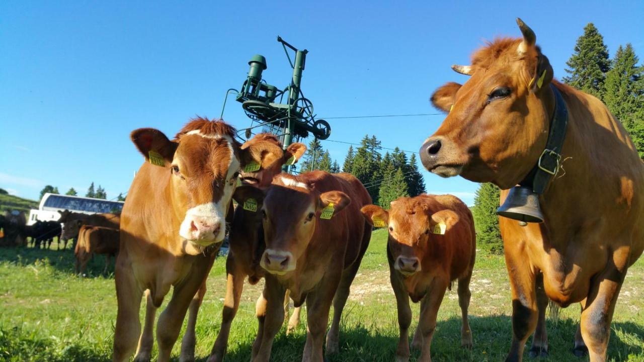 Lajoux Les Chamois 아파트 외부 사진