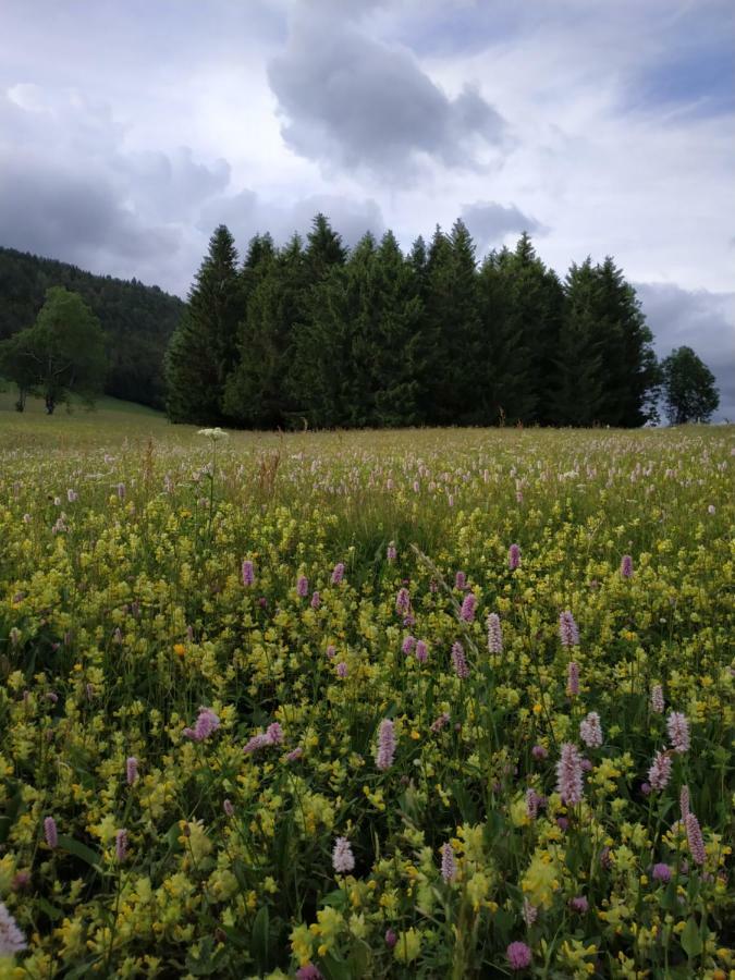 Lajoux Les Chamois 아파트 외부 사진